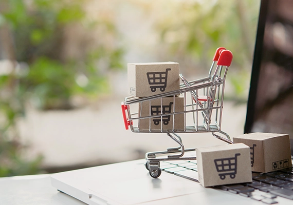 Custom ecommerce development solutions for growing businesses