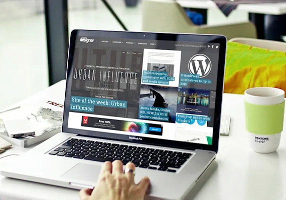 Expert WordPress development solutions for businesses